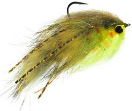 Bennetts Lunch Money Brown Trout Bennetts Lunch Money Brown Trout
